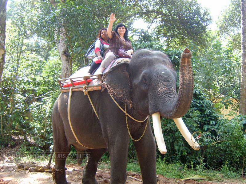 Elephant Ride Periyar, Kerala
