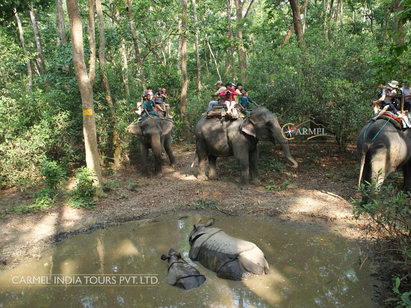 Royal Chitwan National Park tour package